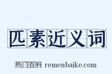 匹素近义词是什么意思的图片